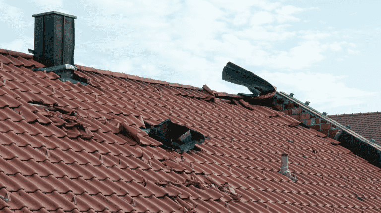 damaged shingles